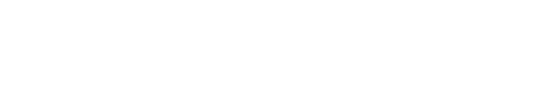 SoftTeco