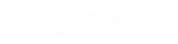 Wizart